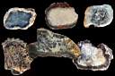 agate dendritic0001.jpg